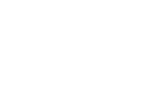RAWVIK